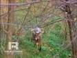 Michael Waddell Hunts Illinois